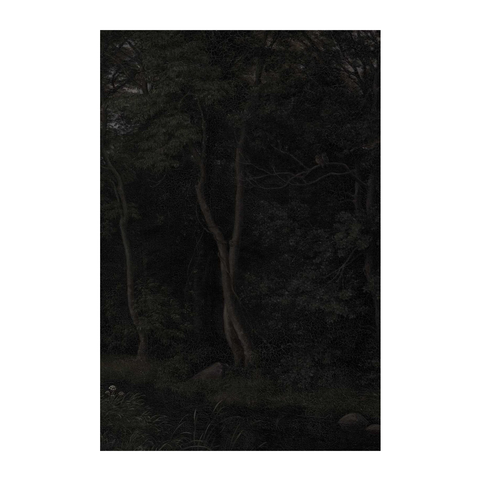 Enigmatic Forest Dark Academia Wall Art