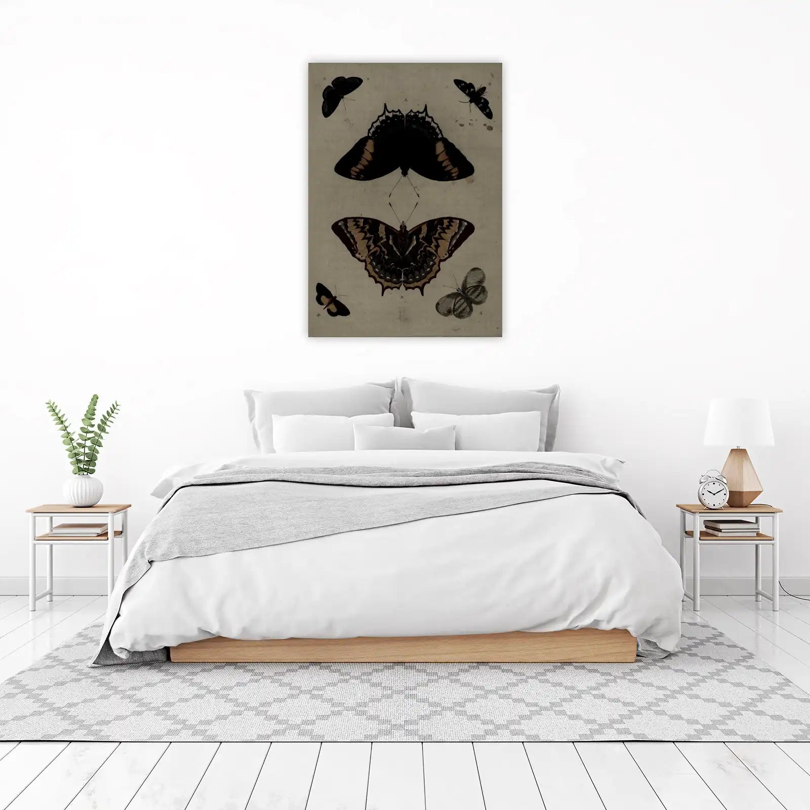 Vintage Butterfly Collection Wall Art