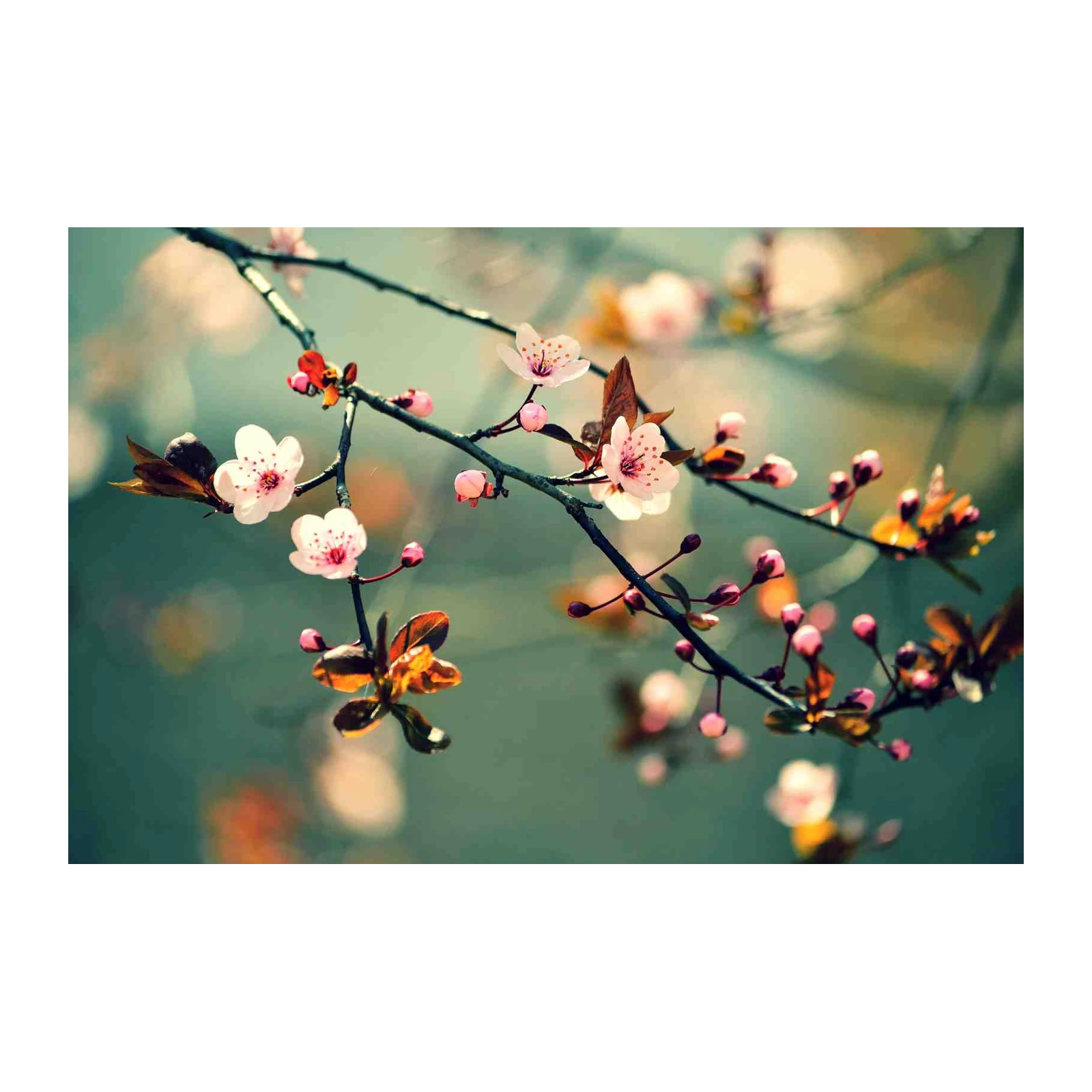 Blossoming Serenity Floral Wall Art