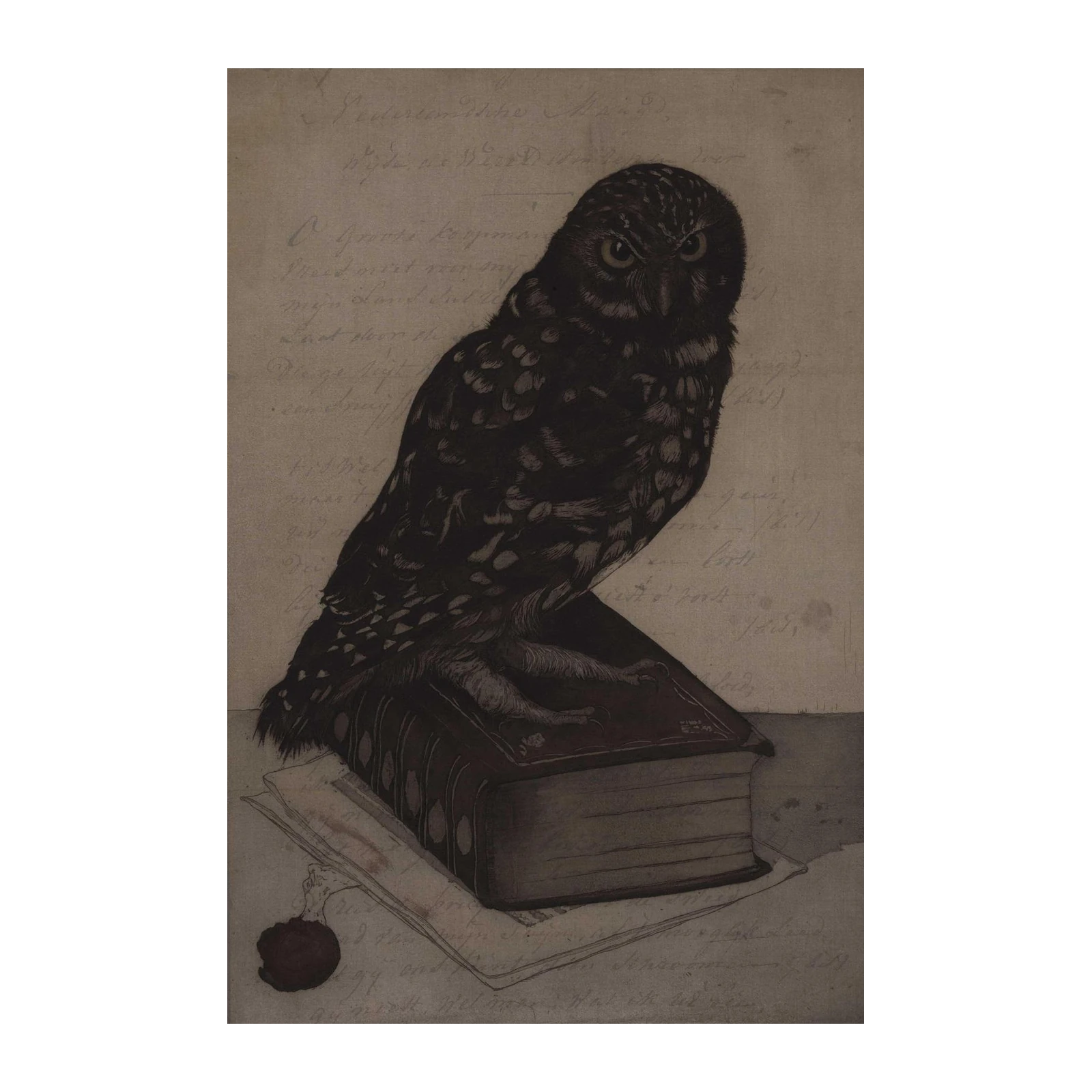 Wise Owl on Book Vintage Art Wall Art