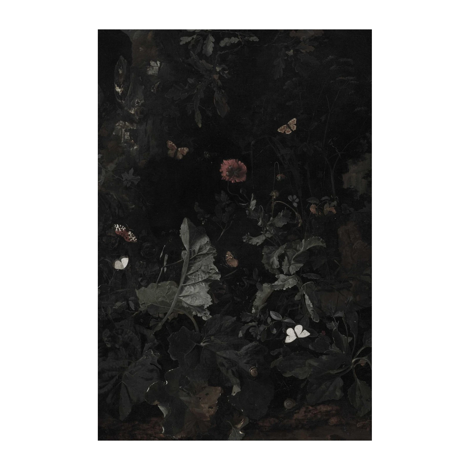 Dark Botanical Butterflies and Blooms Wall Art