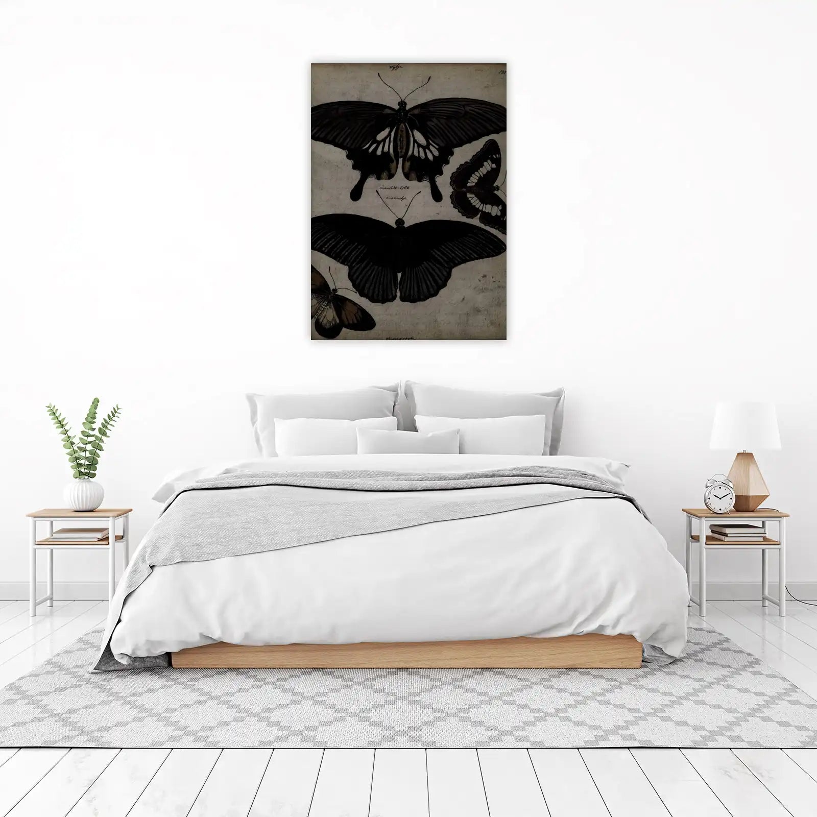 Vintage Butterfly Studies Wall Art