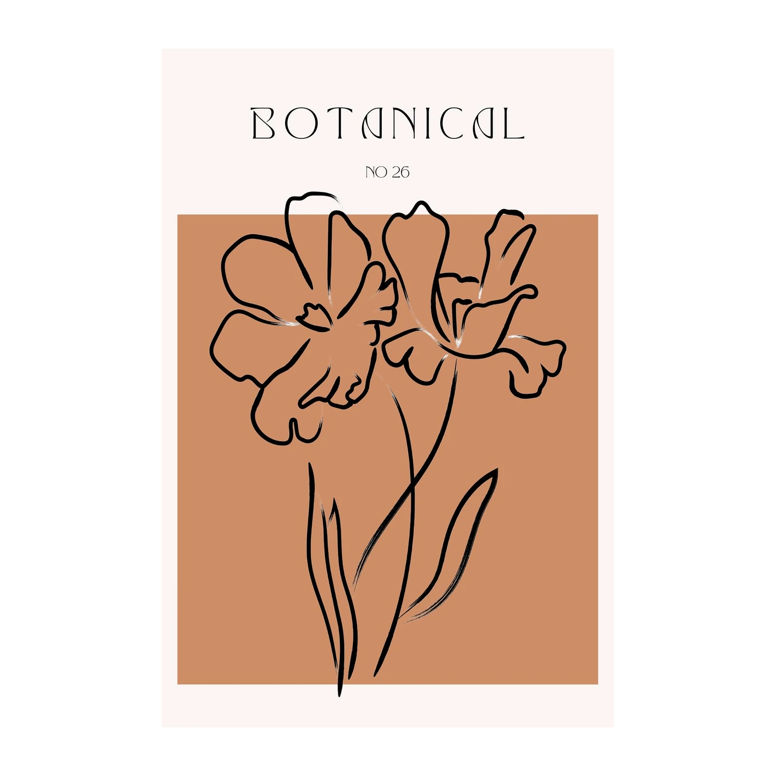 Elegant Botanical Flower Line Art Wall Art