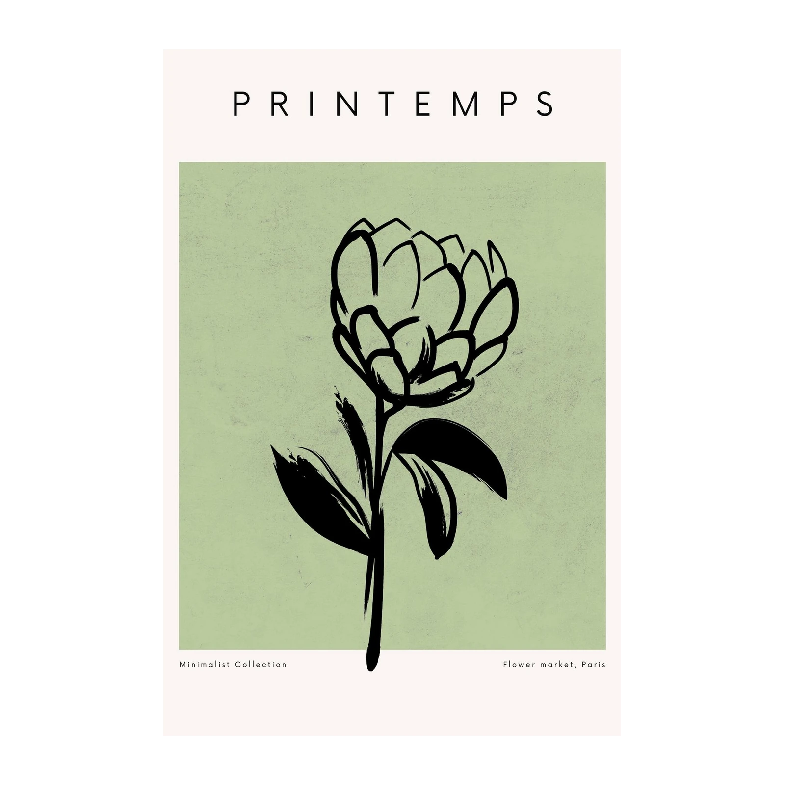 Minimalist Botanical Flower Paris Wall Art