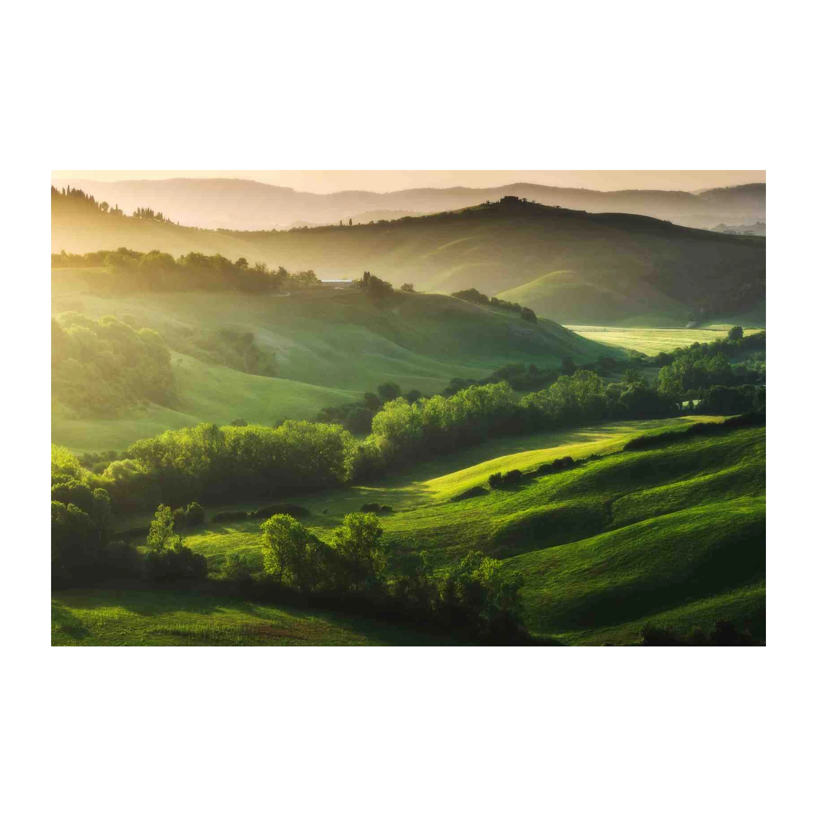 Tuscan Rolling Hills Sunrise Wall Art