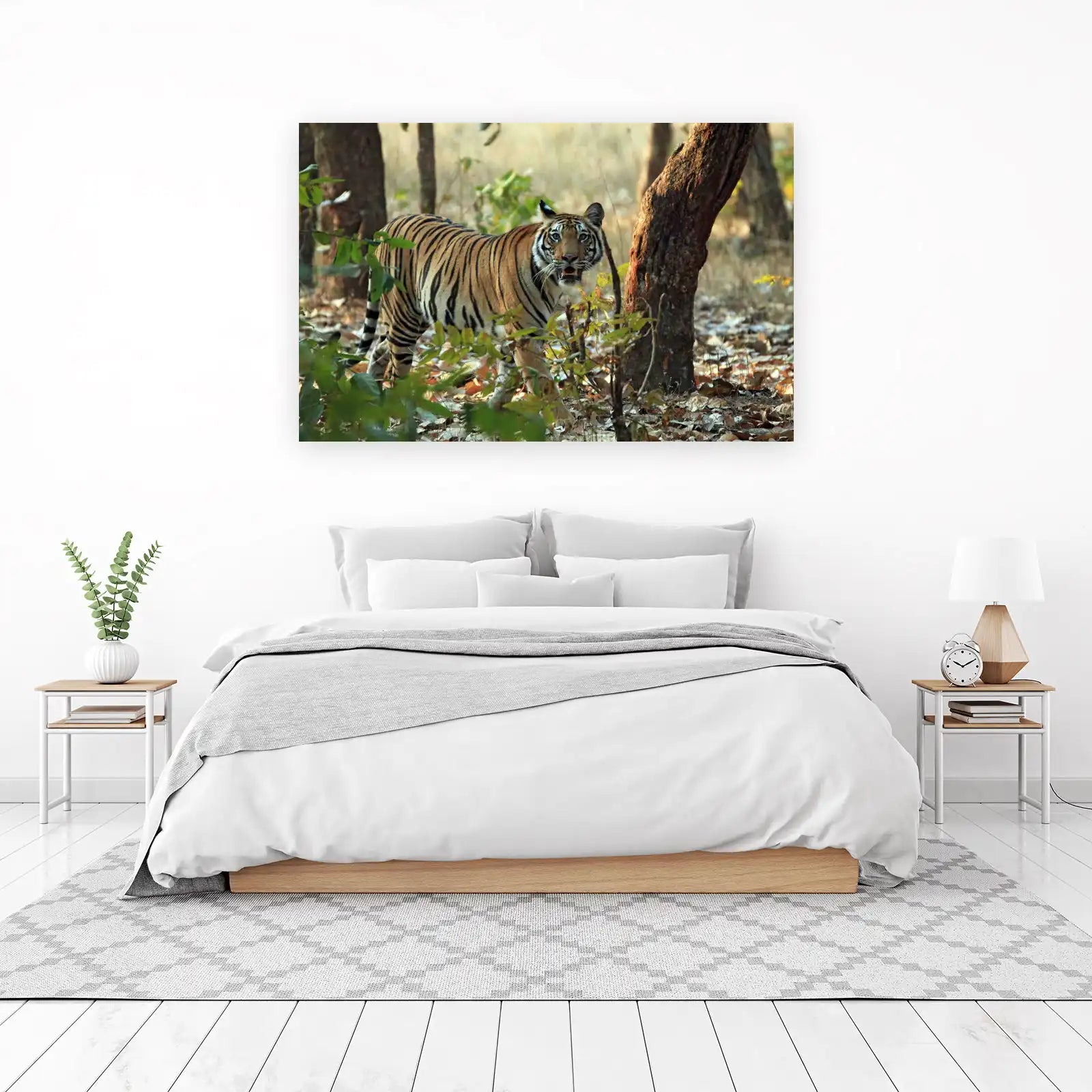 Majestic Tiger Gaze Wildlife Wall Art