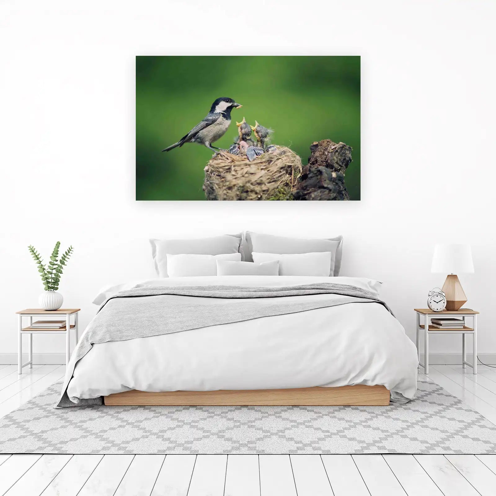 Nurturing Coal Tit Nestling Feeding Wall Art