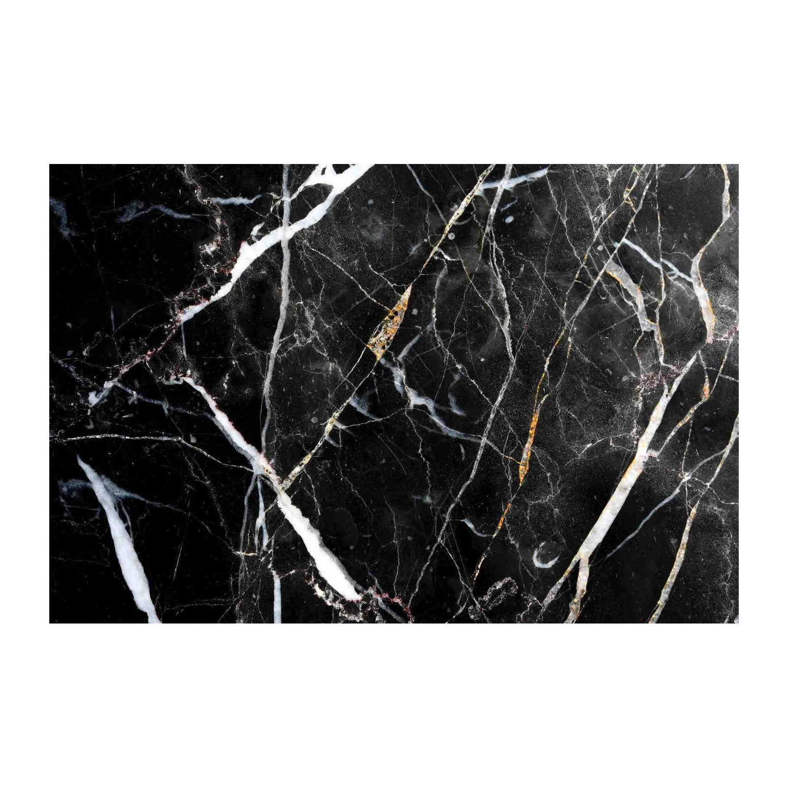 Elegant Black Marble Vein Gold Accents Wall Art
