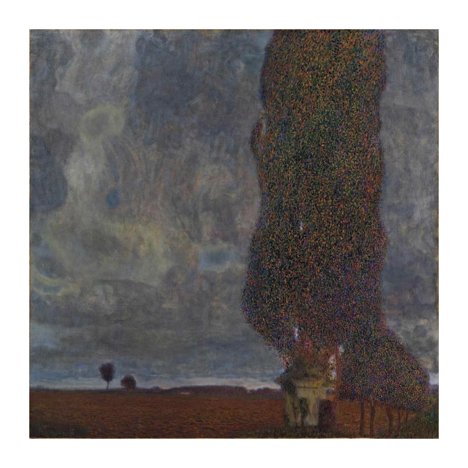 Mysterious Cypress Grove Wall Art Wall Art