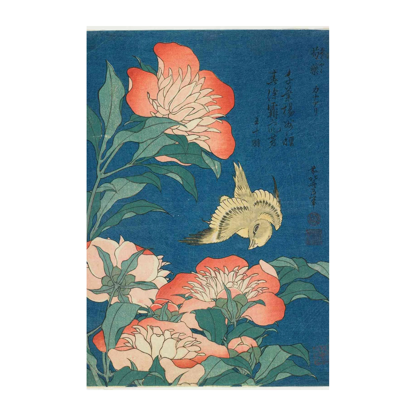 Japanese Peony & Bird Wall Art