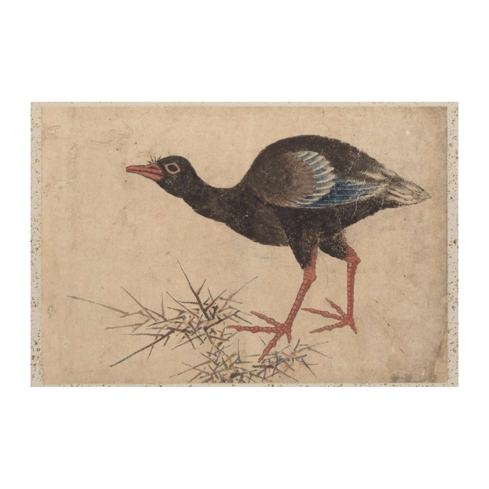 Antique Bird Art Print Wall Art
