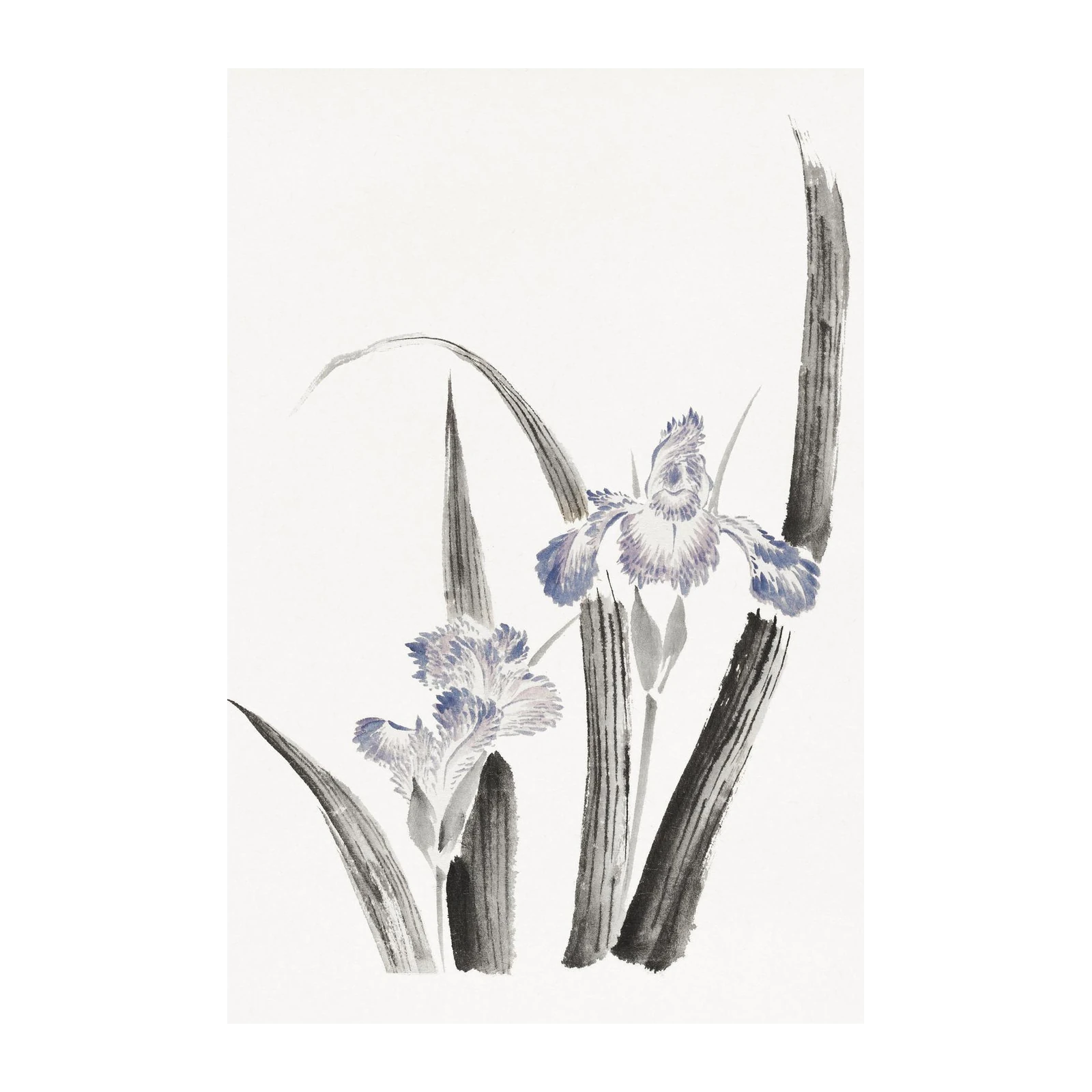 Serene Blue Iris Botanical Watercolor Wall Art