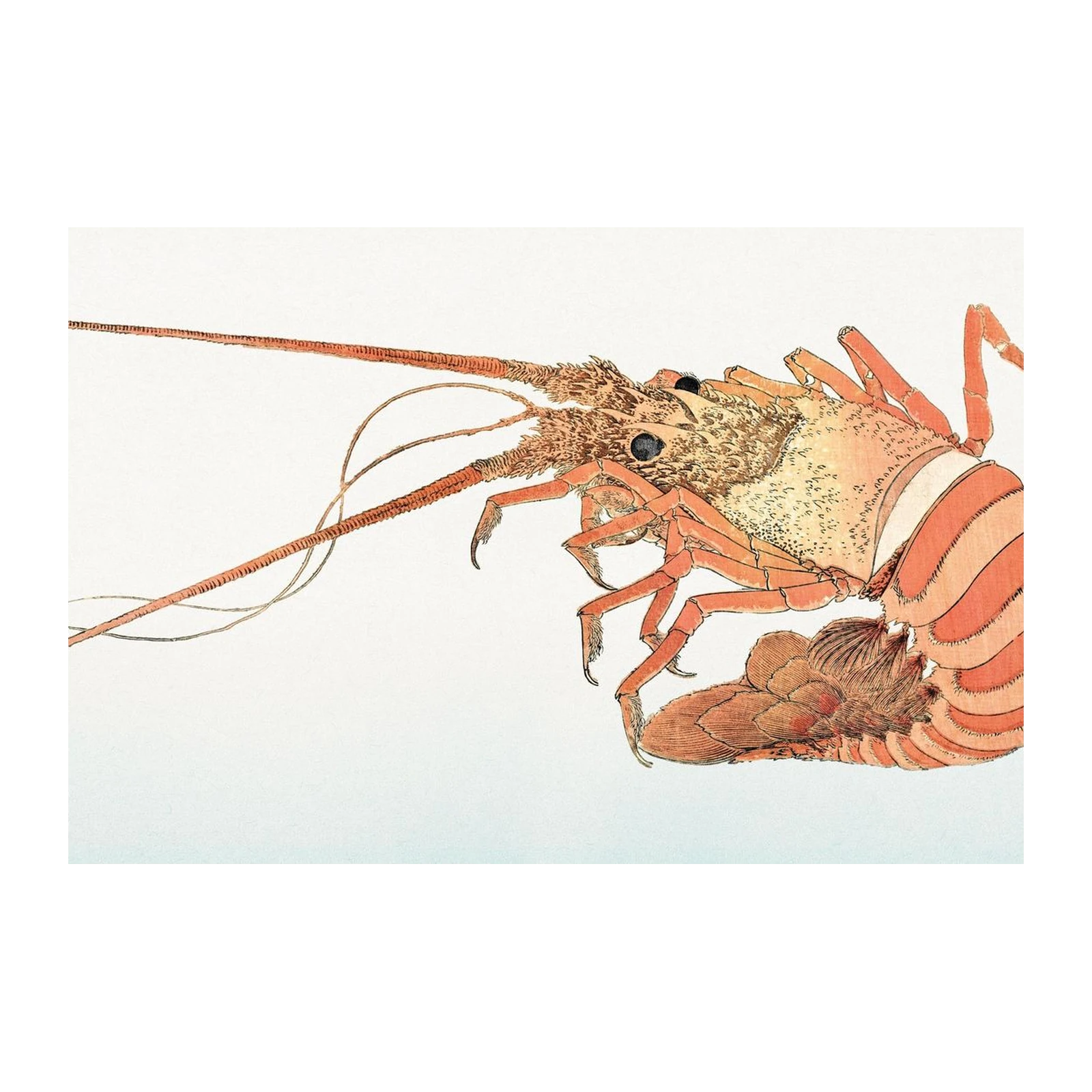 Vibrant Lobster Japanese Art Wall Art