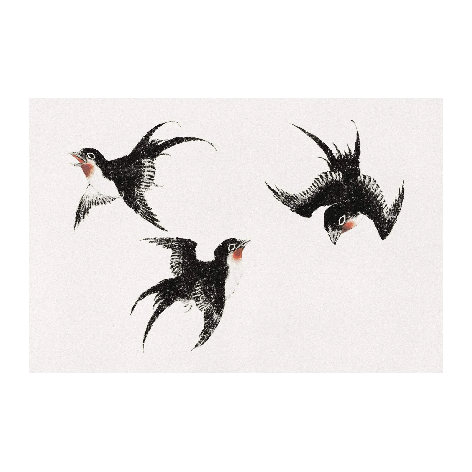 Elegant Swallows in Flight Wall Art