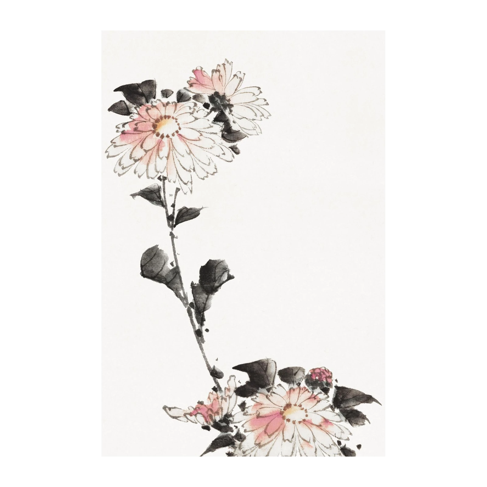 Elegant Pink Chrysanthemum Watercolor Wall Art