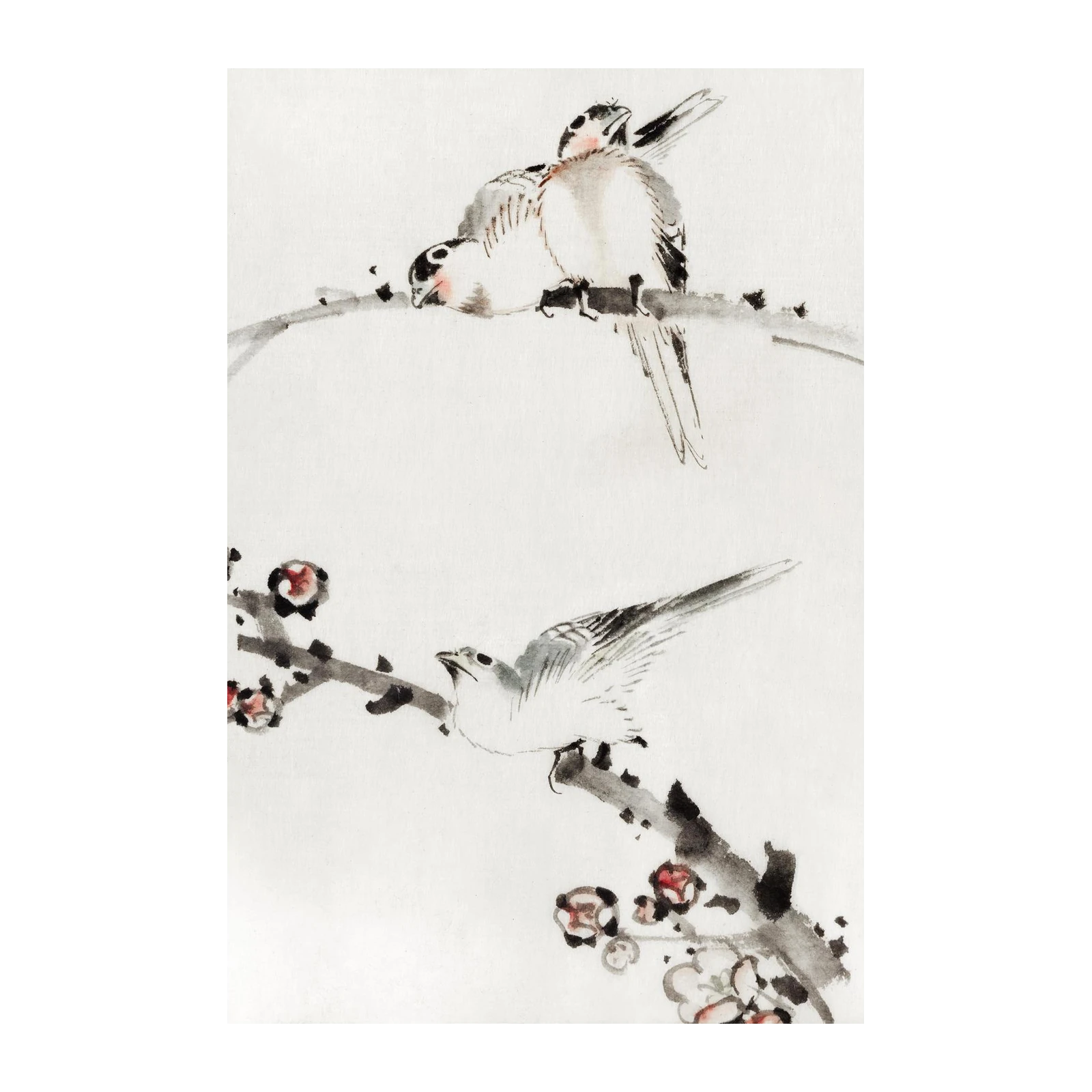 Serene Birds & Blossoms Fine Art Wall Art