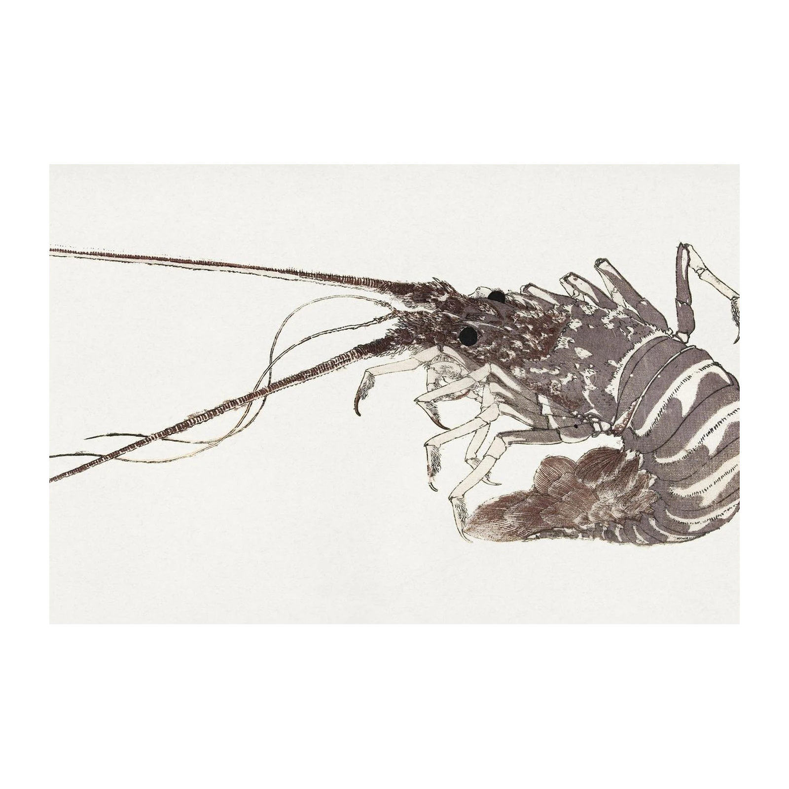 Coastal Charm Lobster Art Wall Art
