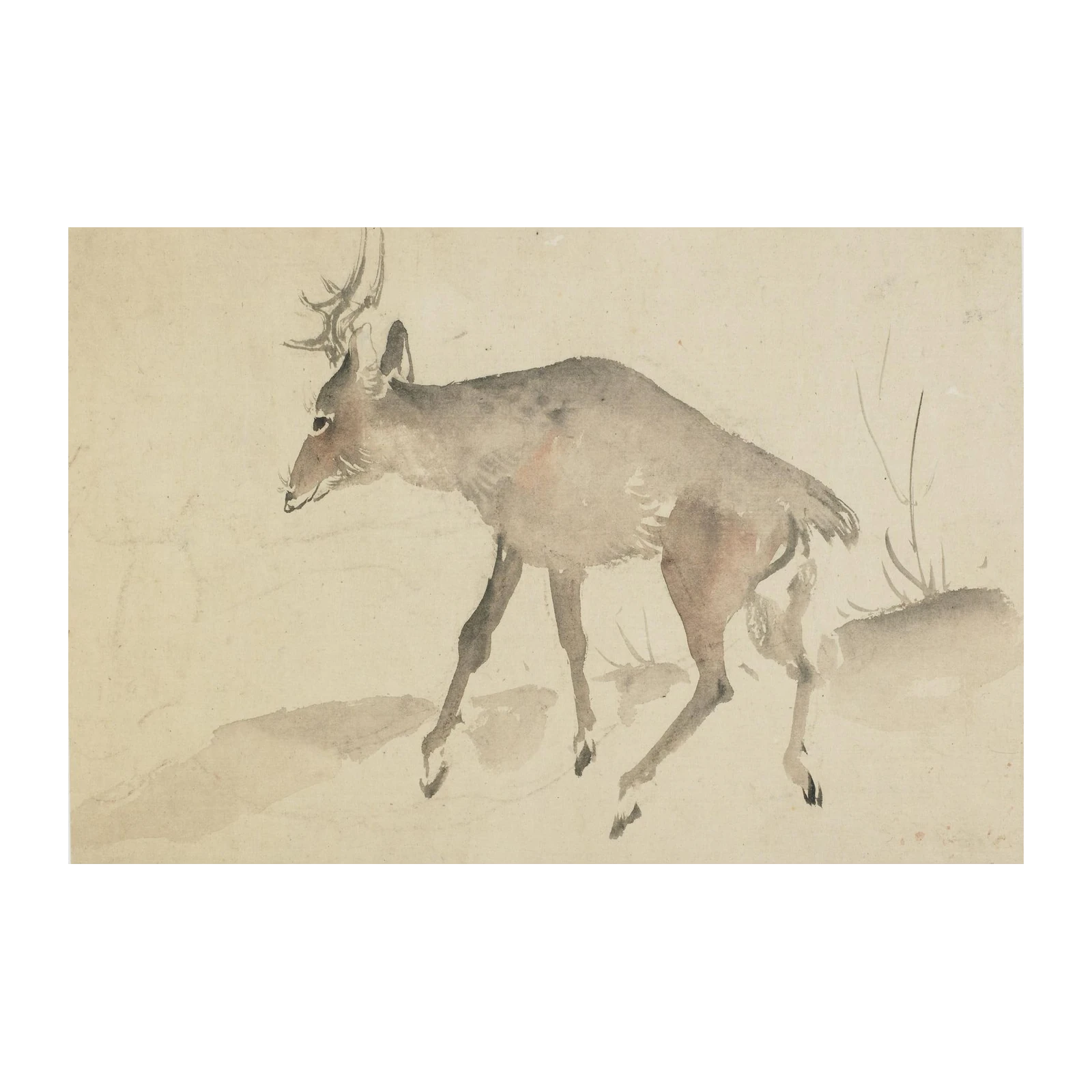 Serene Deer Watercolor Nature Wall Art