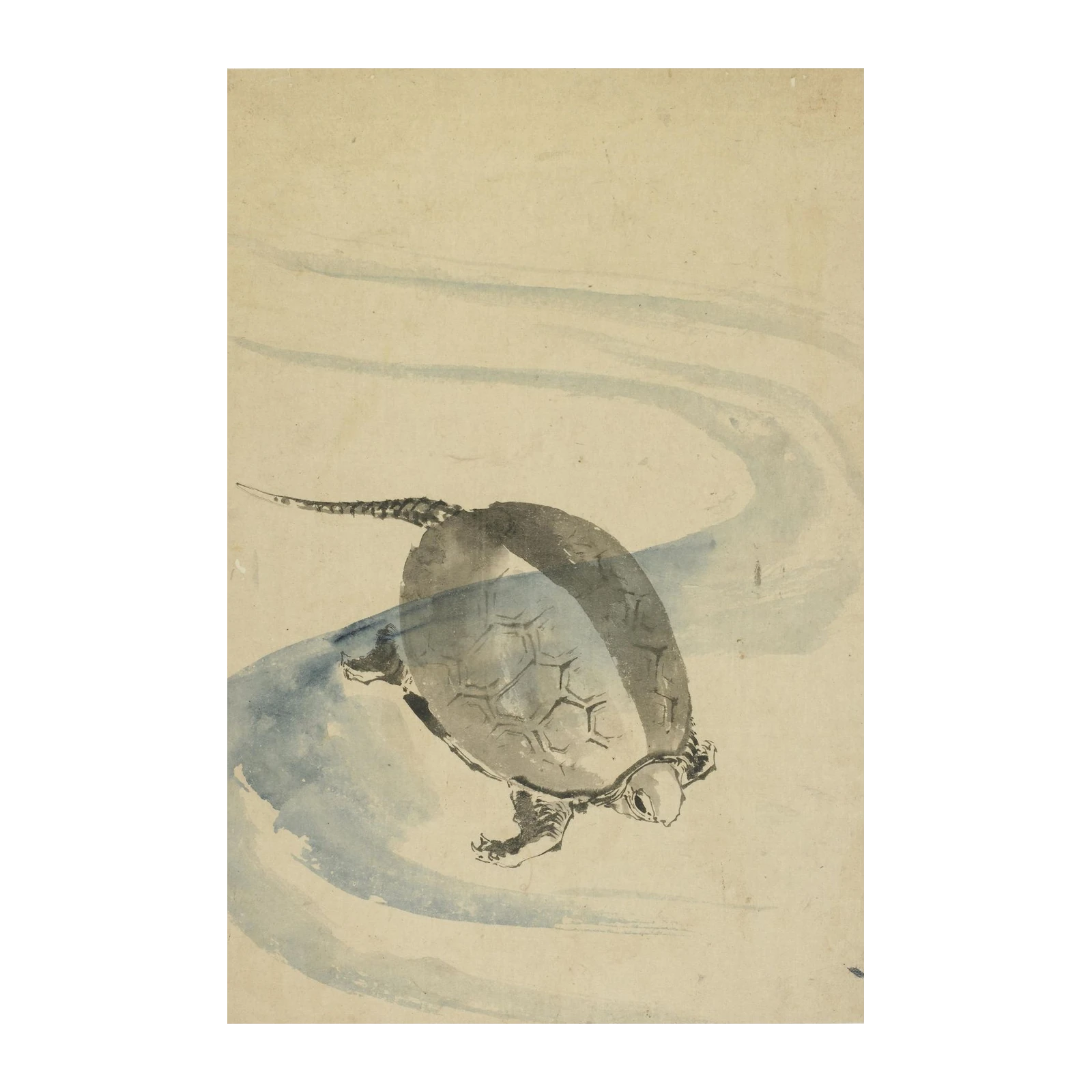 Serene Turtle Swim Watercolor Wall Art