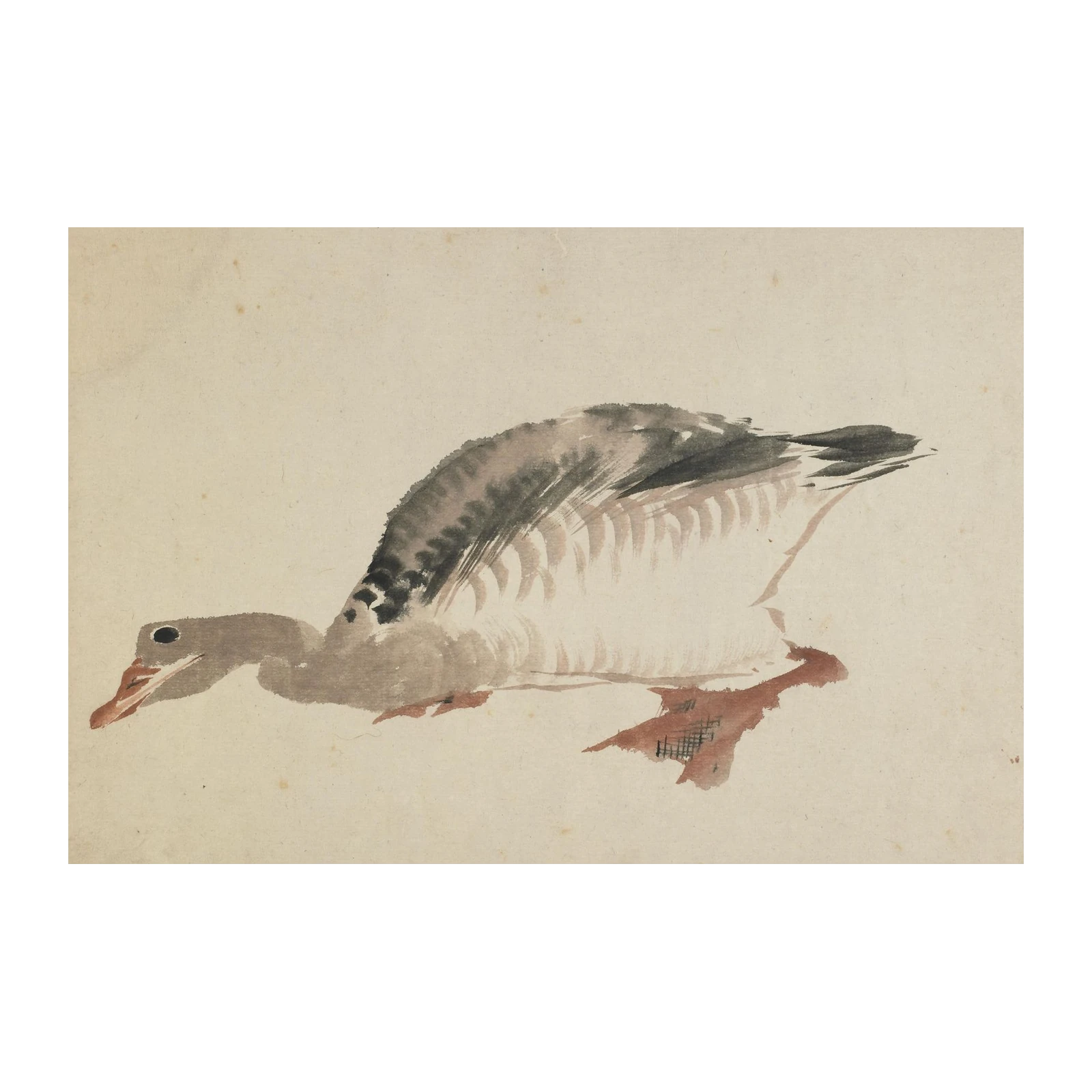 Graceful Goose Watercolor Art Wall Art