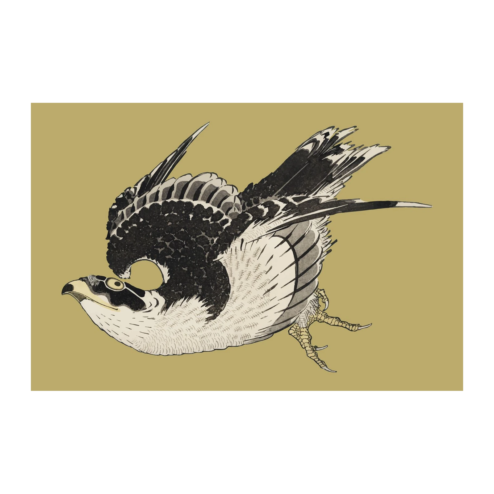 Majestic Falcon in Flight Wall Art - Bird Art