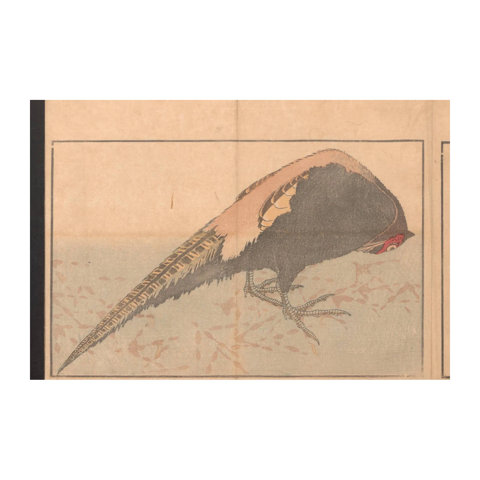 Elegant Pheasant Japanese Art Wall Art