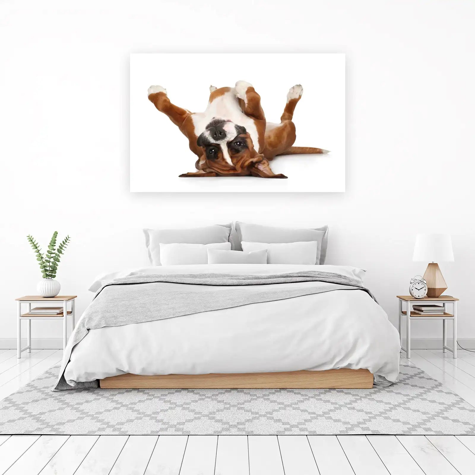 Playful Boxer Dog Belly Rub Fun Wall Art