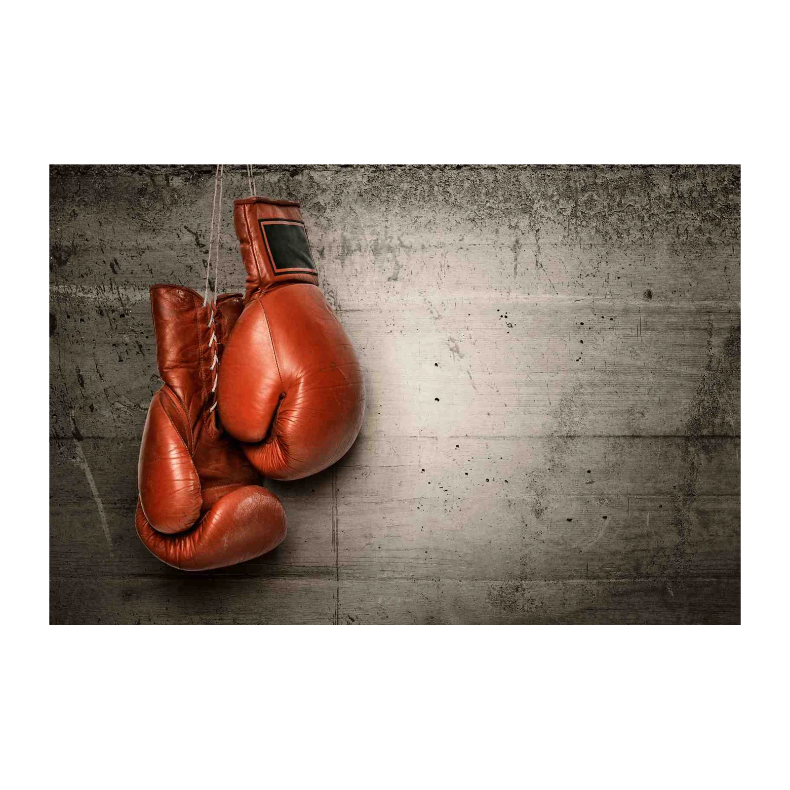 Vintage Boxing Gloves Wall Art - Motivational Gym Art