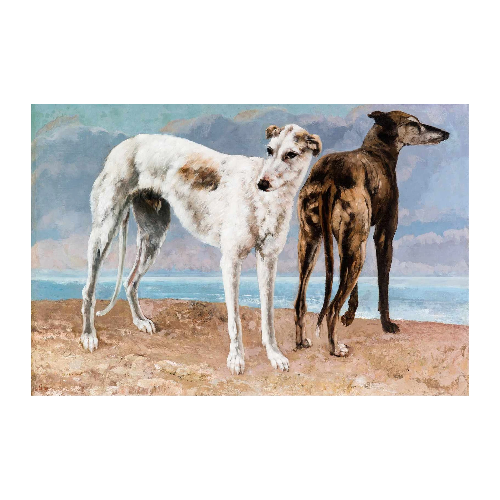 Elegant Greyhounds by the Sea Wall Art