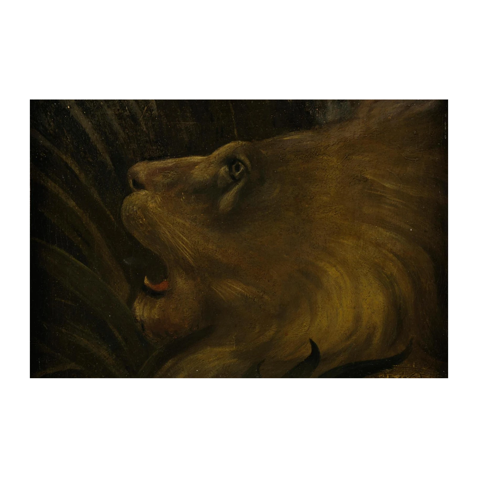 Majestic Lion Roar Wildlife Wall Art