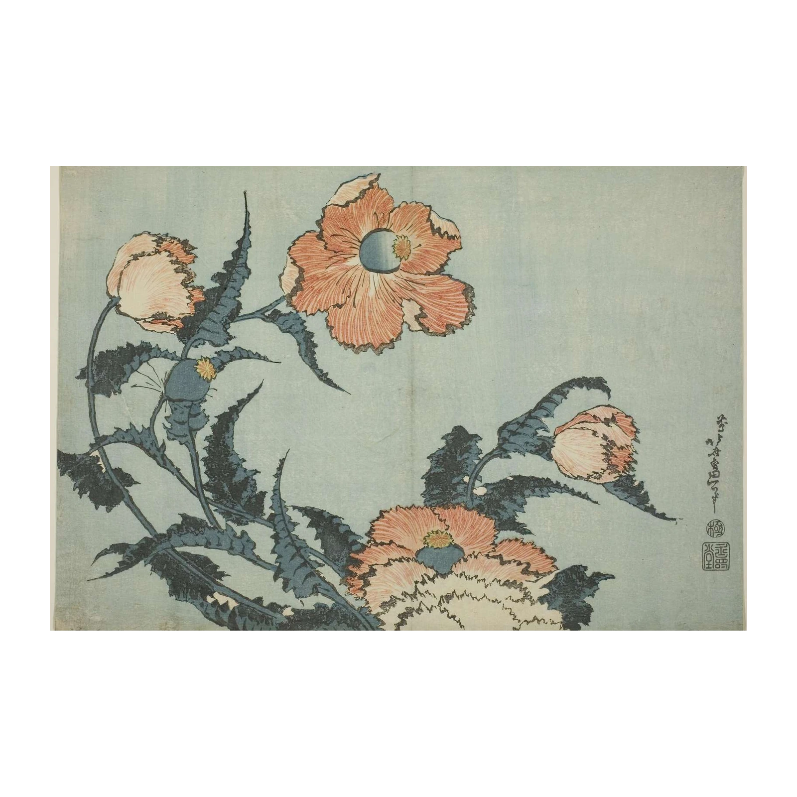 Japanese Poppies Floral Art Wall Art