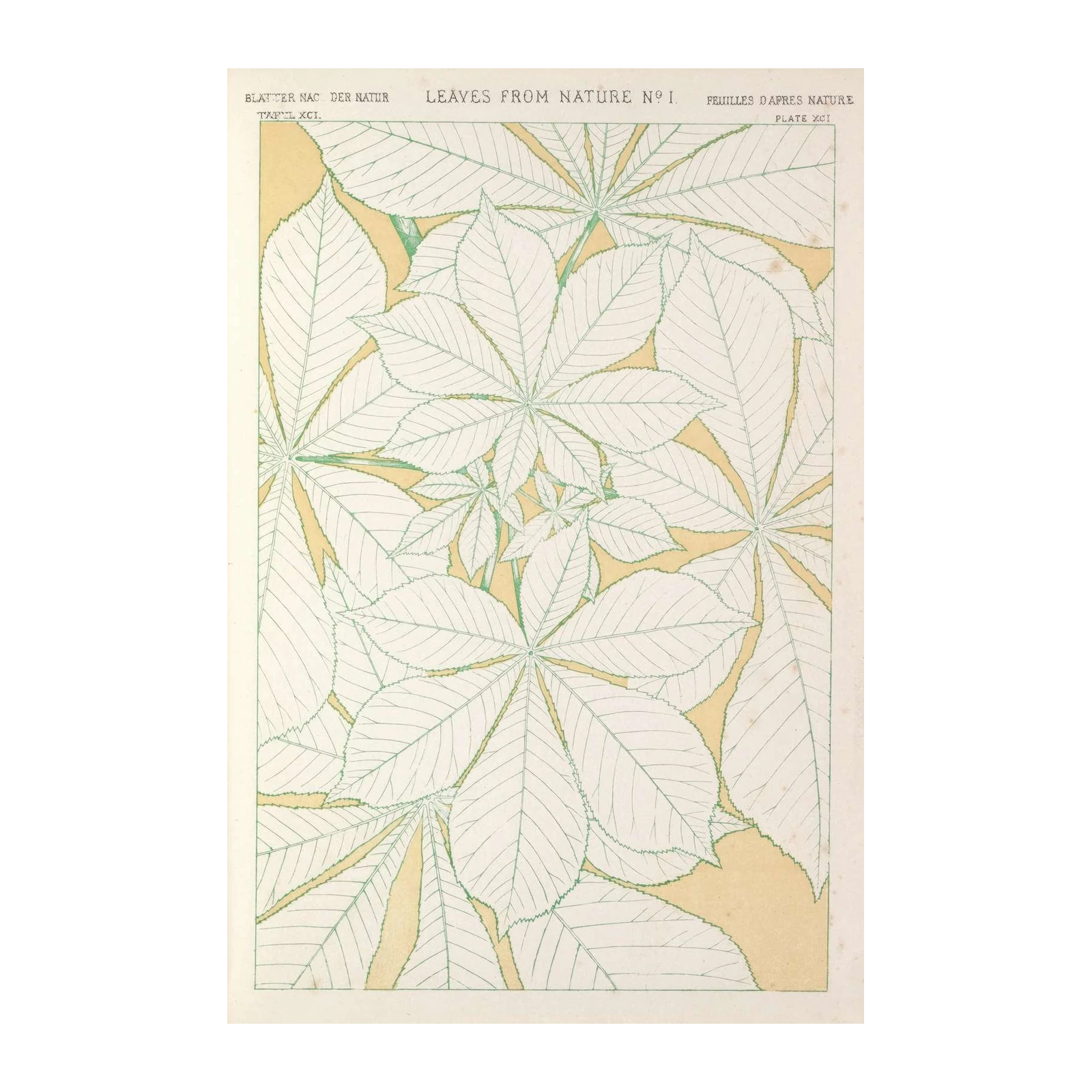 Vintage Botanical Leaves Wall Art