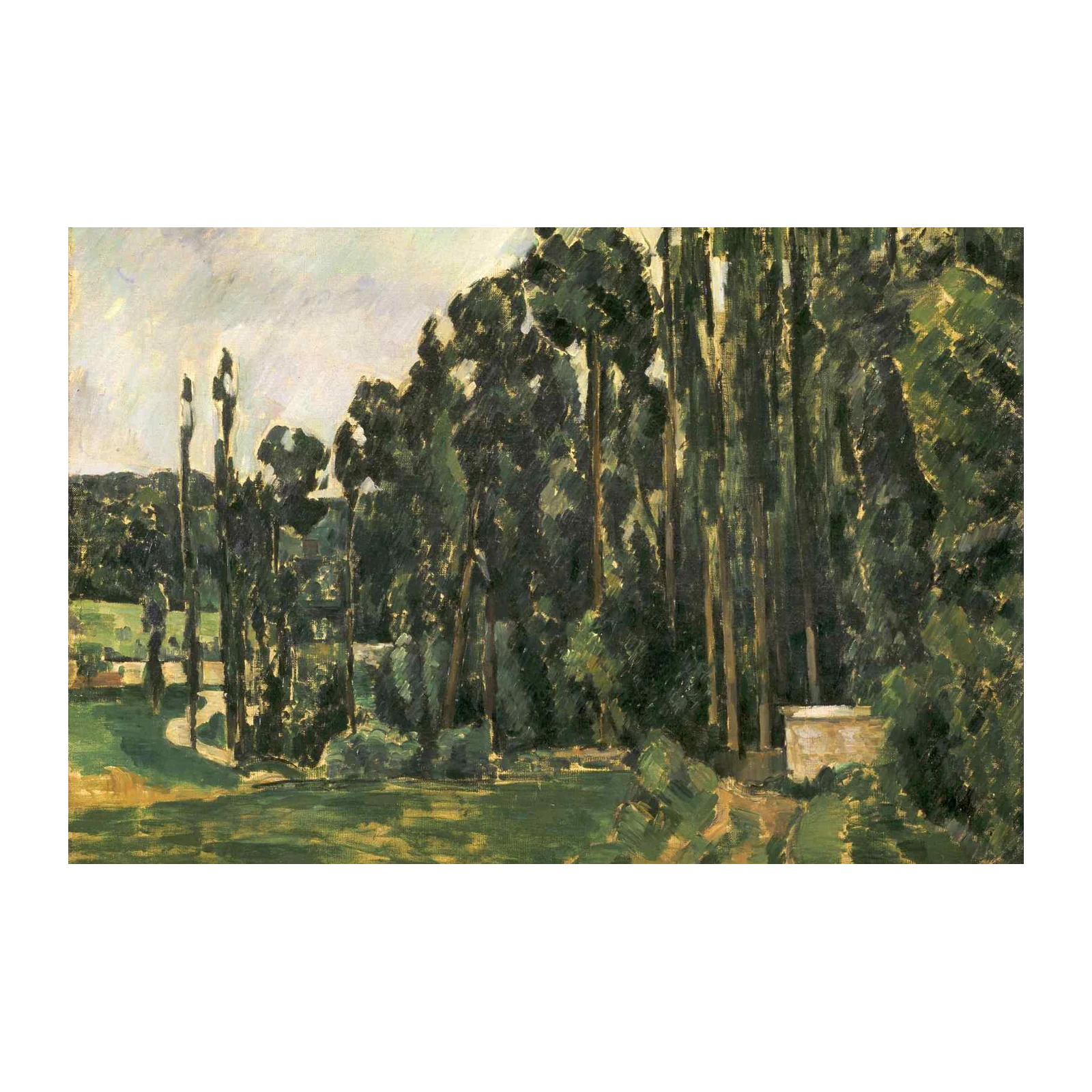Serene Landscape Tall Trees Wall Art