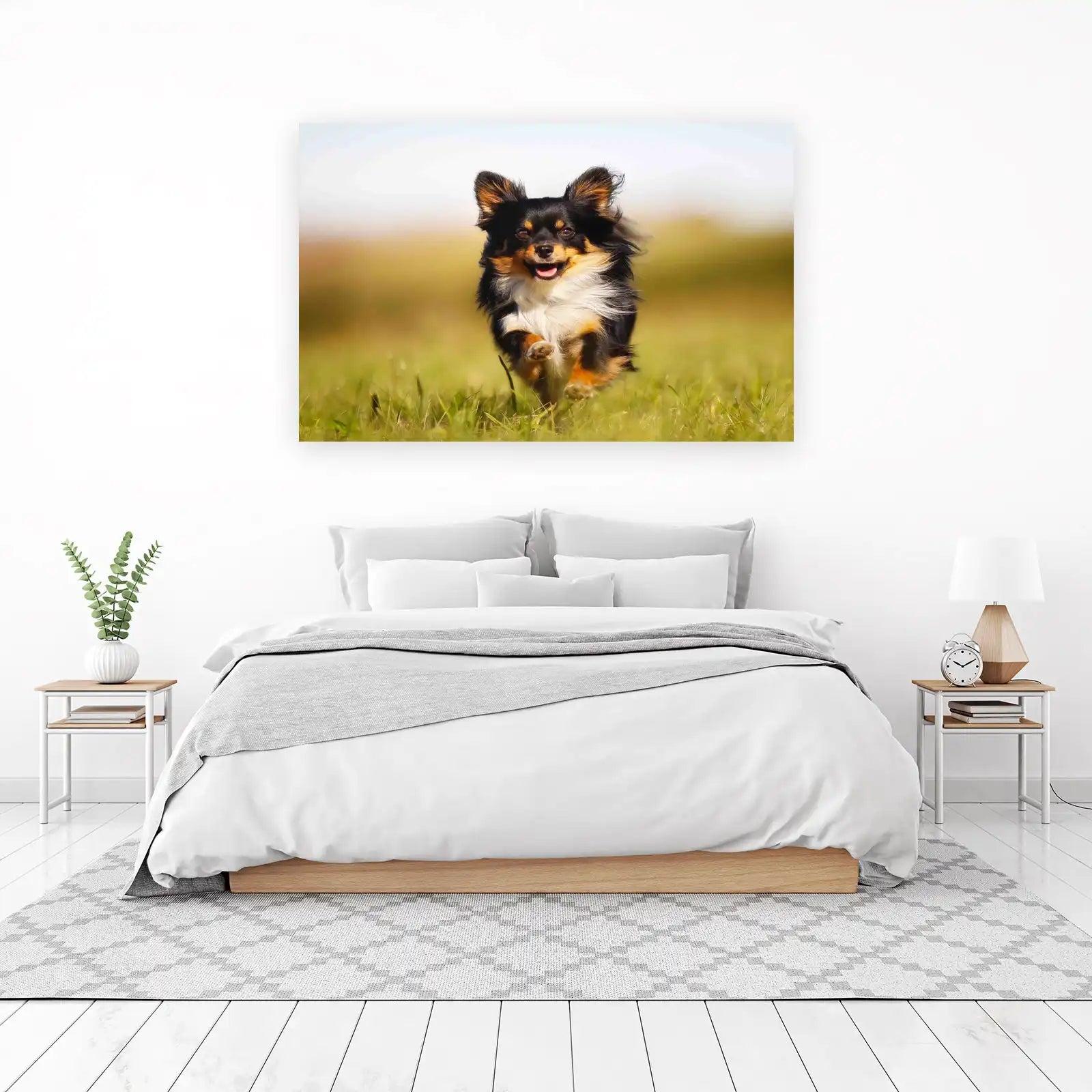 Joyful Chihuahua Running Outdoor Wall Art