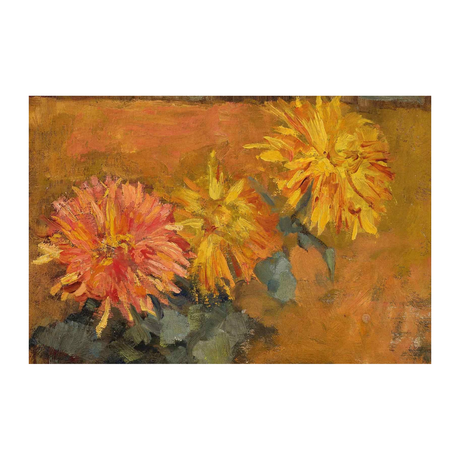 Vibrant Dahlia Blooms Impressionist Wall Art