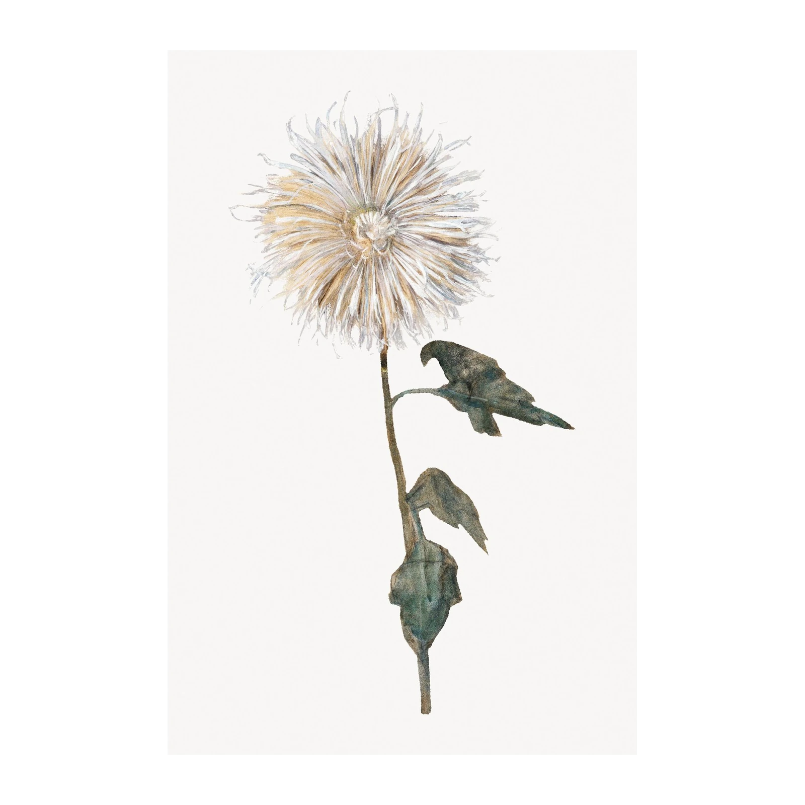 Elegant Bird & Dandelion Botanical Wall Art