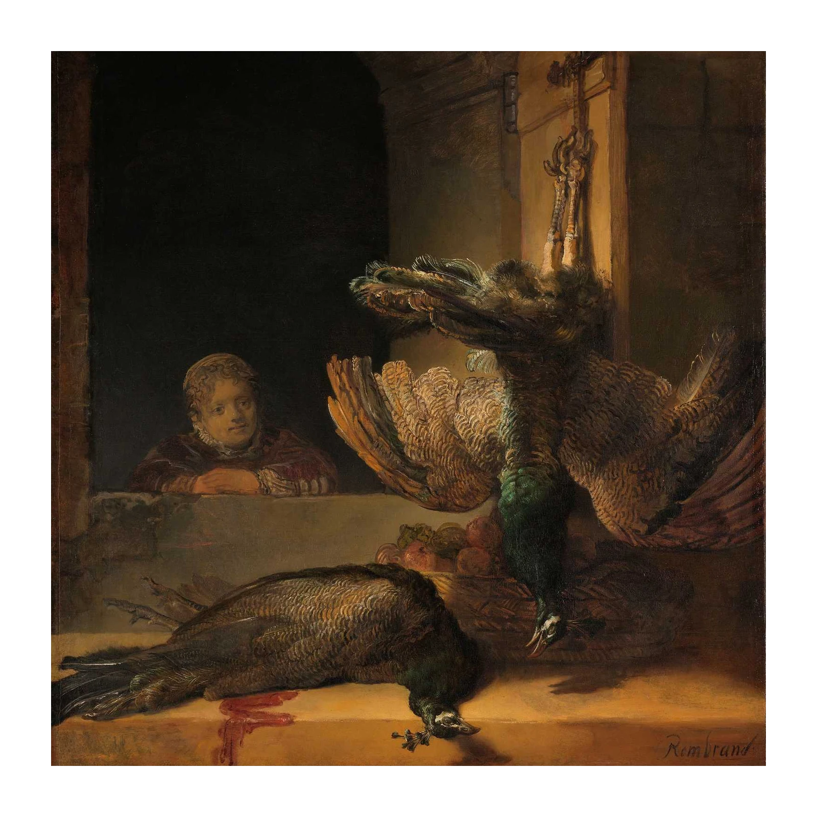 Still Life Peacock Rembrandt Wall Art