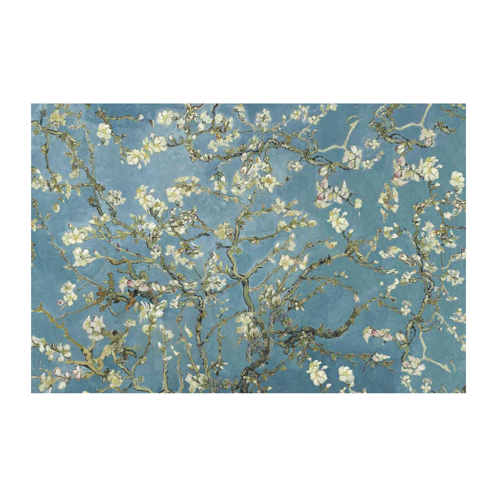 Almond Blossoms Van Gogh Wall Art