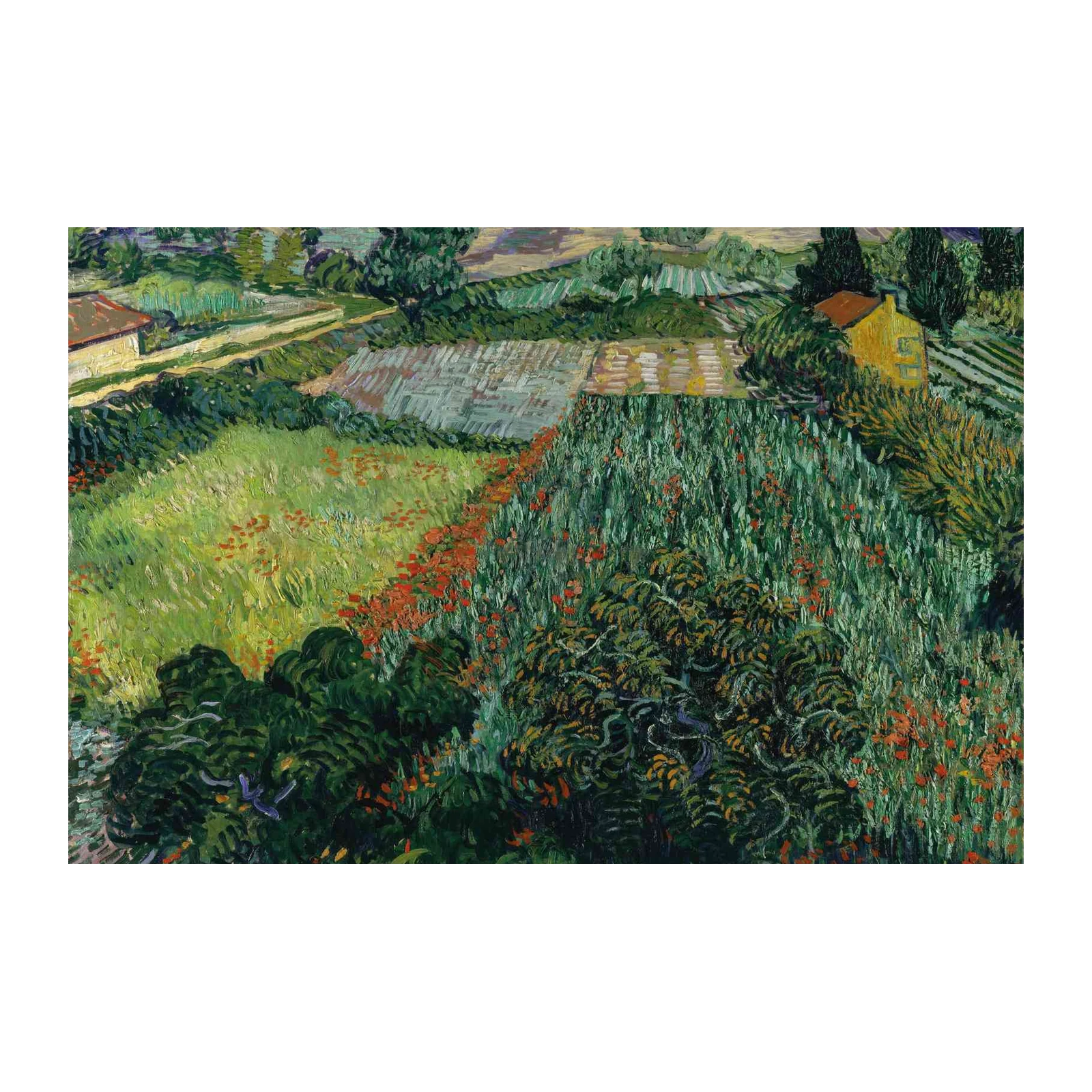 Vibrant Poppy Field Landscape Van Gogh Wall Art