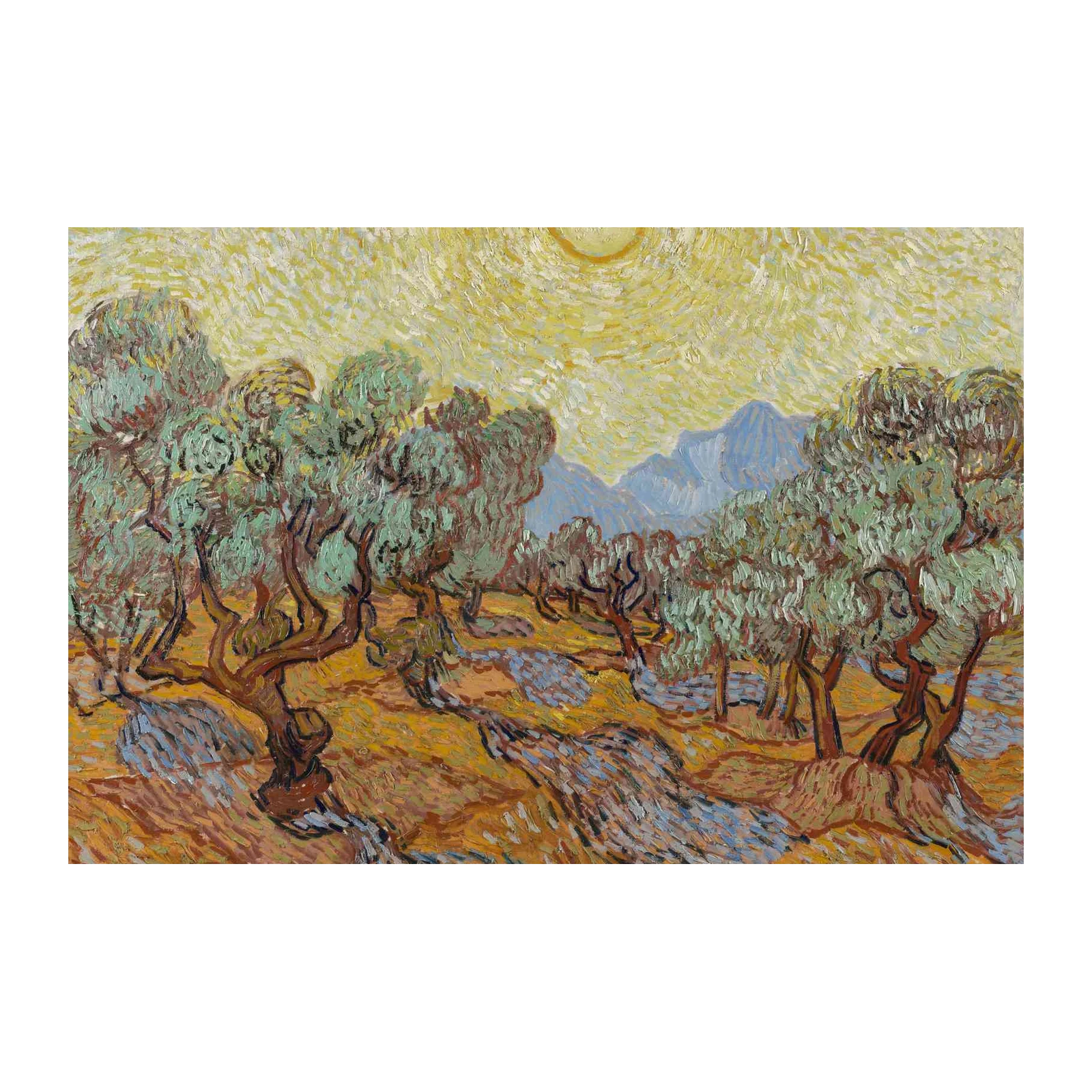 Vincent Van Gogh Olive Grove Wall Art