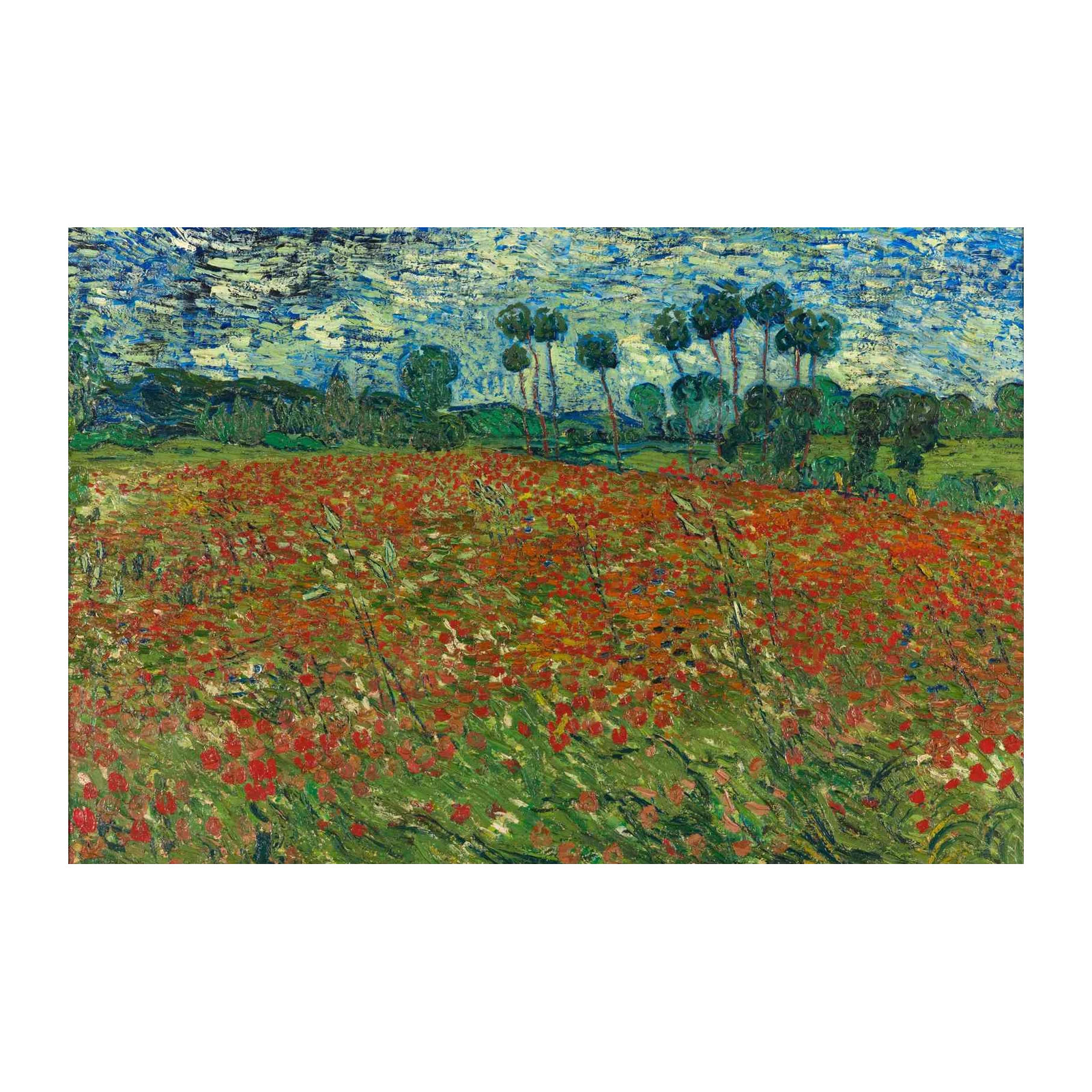 Vibrant Poppy Field Landscape Wall Art
