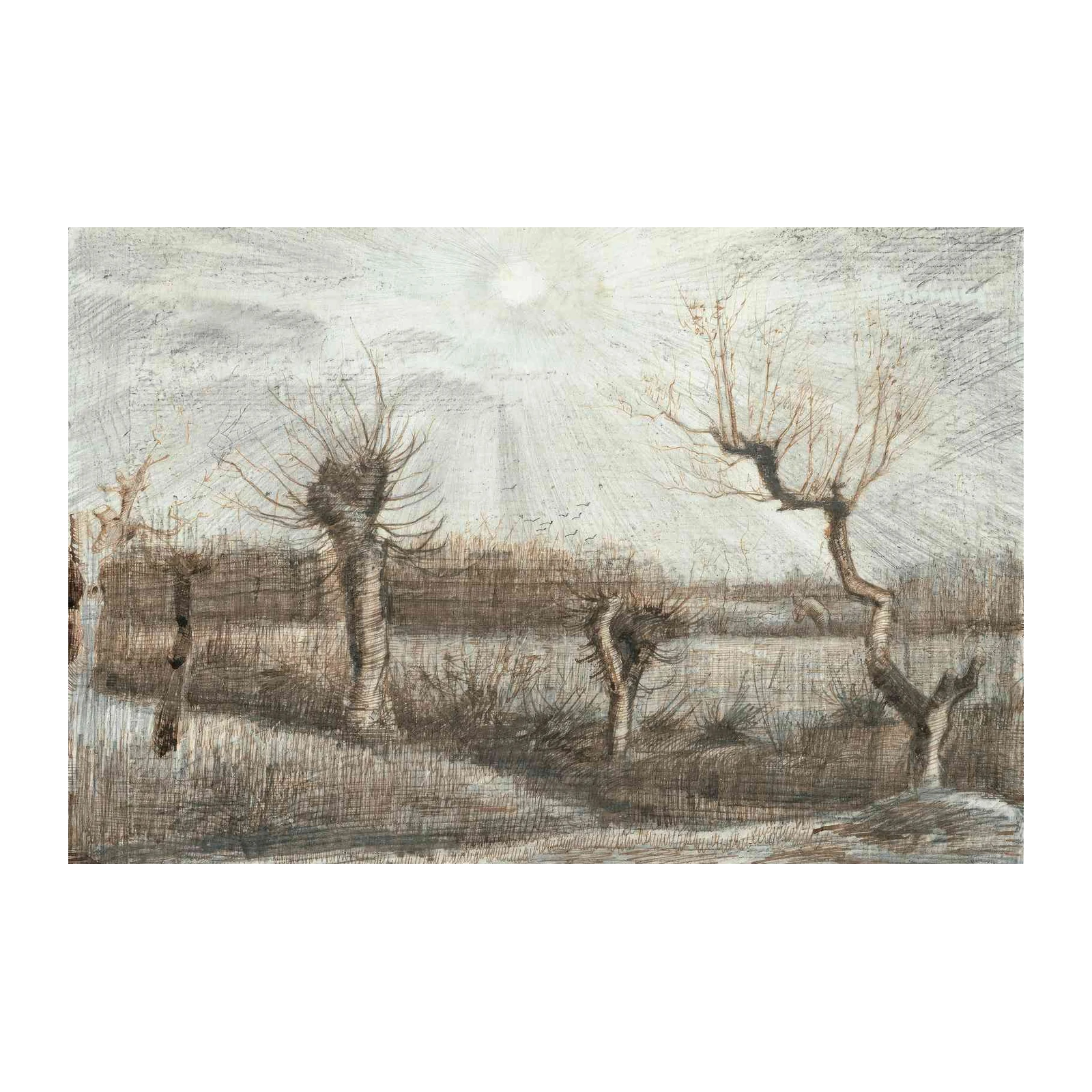 Winter Trees Sunburst Sketch Wall Art