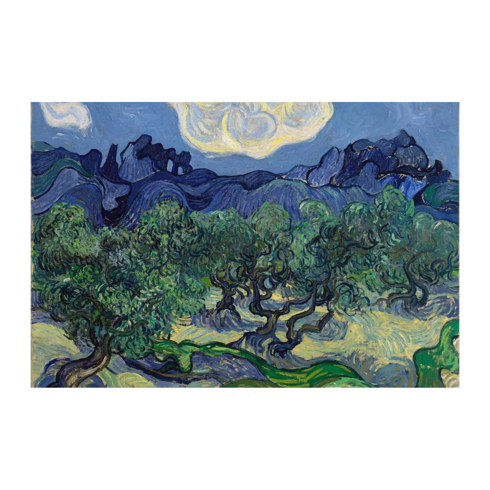 Van Gogh Olive Grove Masterpiece Wall Art