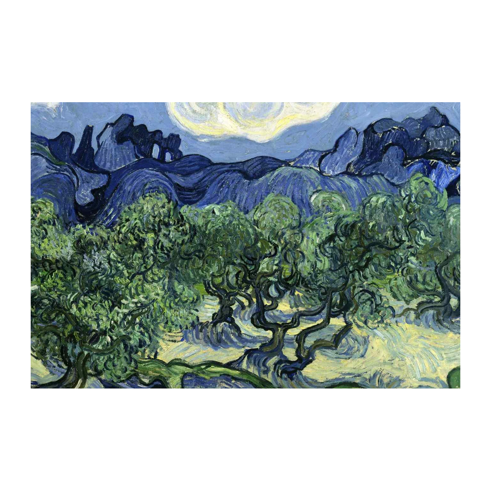 Vibrant Olive Grove Landscape Wall Art