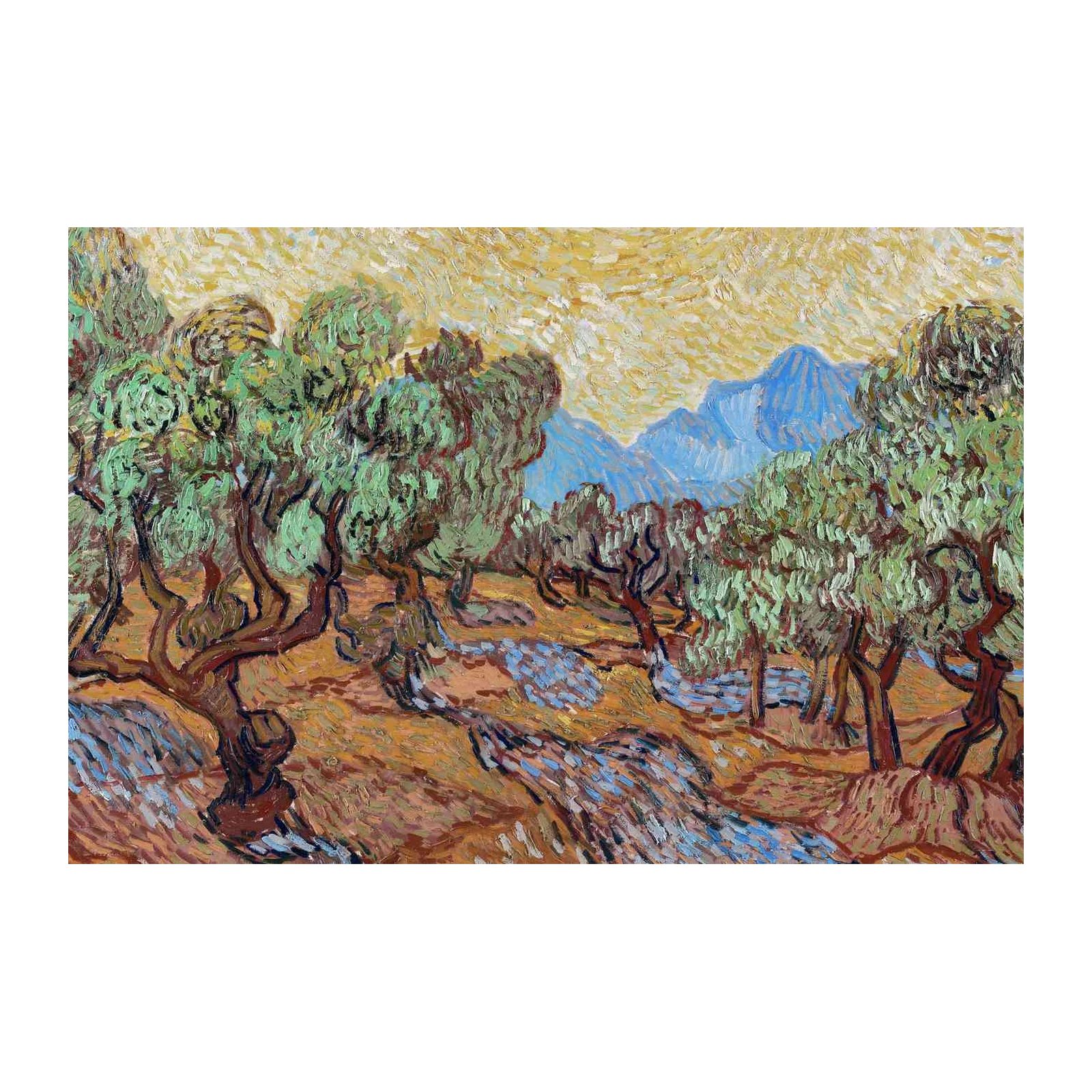 Van Gogh Olive Trees Wall Art for Sale