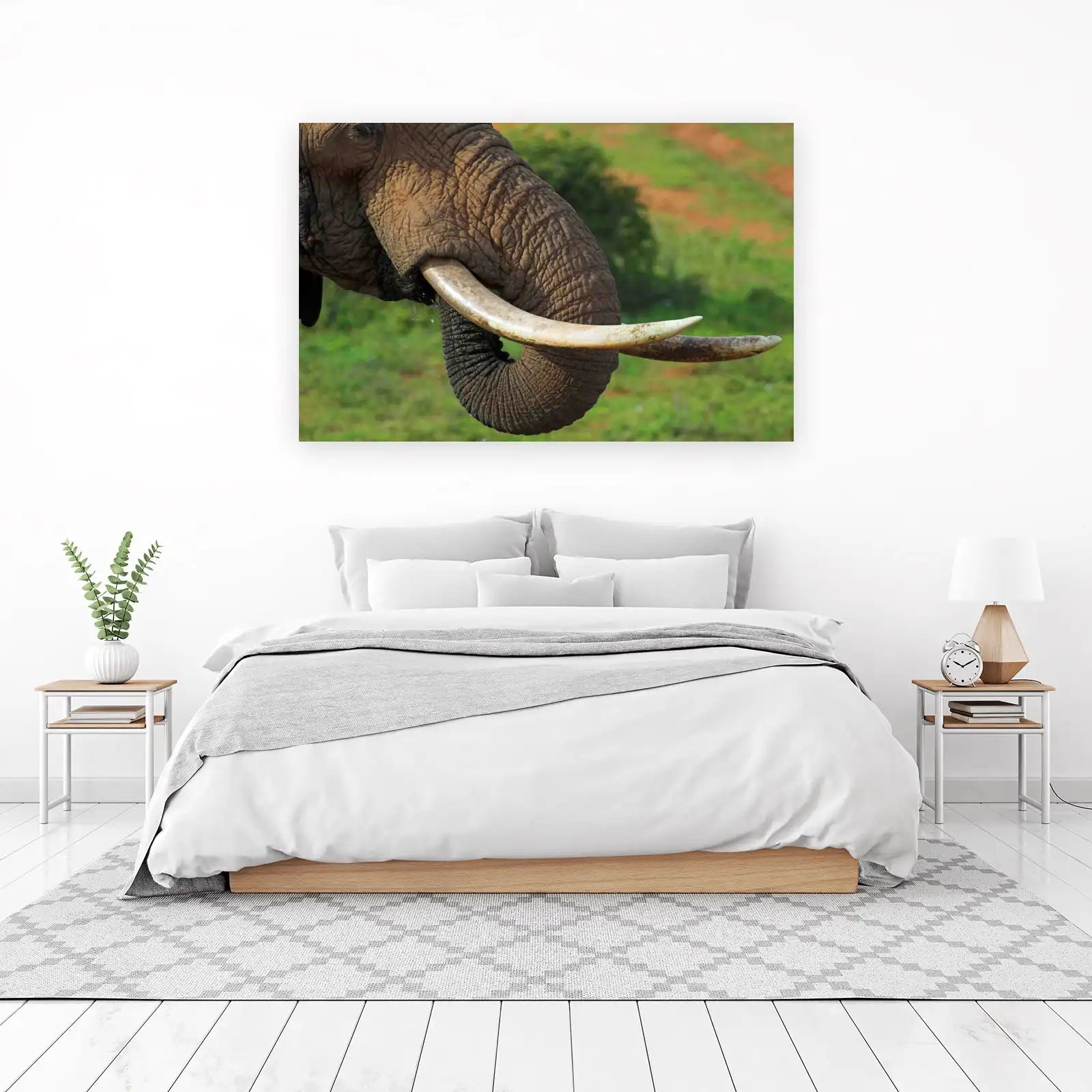 Majestic Elephant Tusk Close-up Wall Art