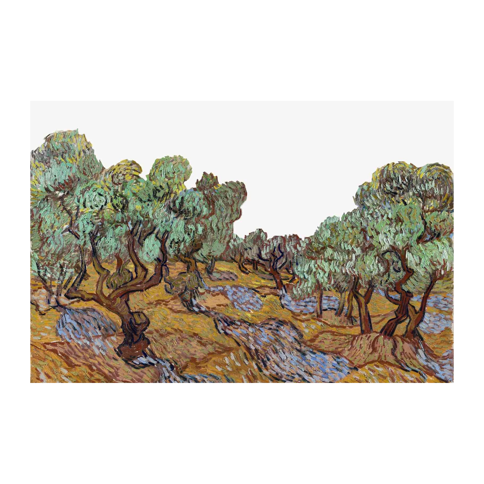 Van Gogh Olive Trees Wall Art Wall Art