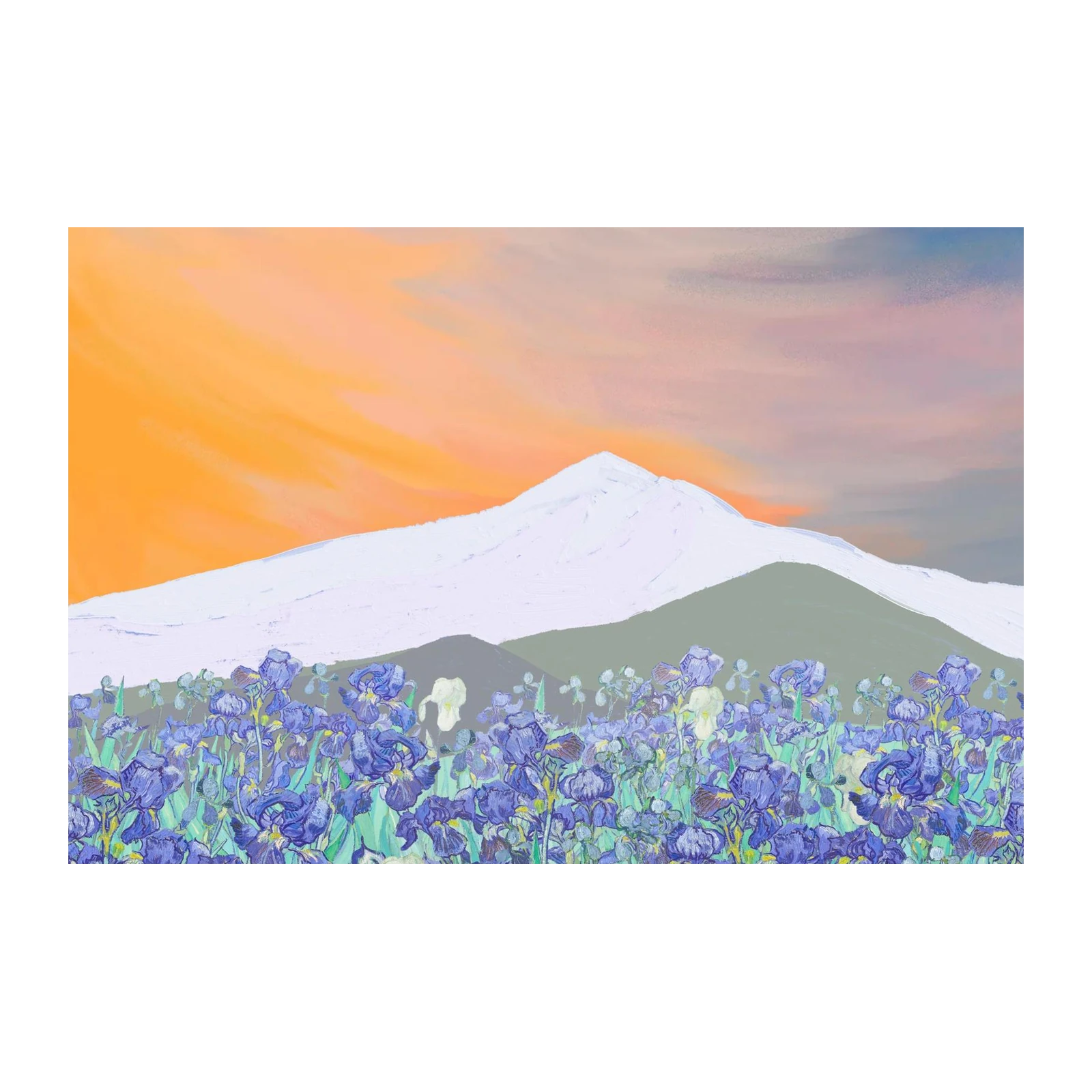 Vibrant Iris Field Mountain Sunset Wall Art