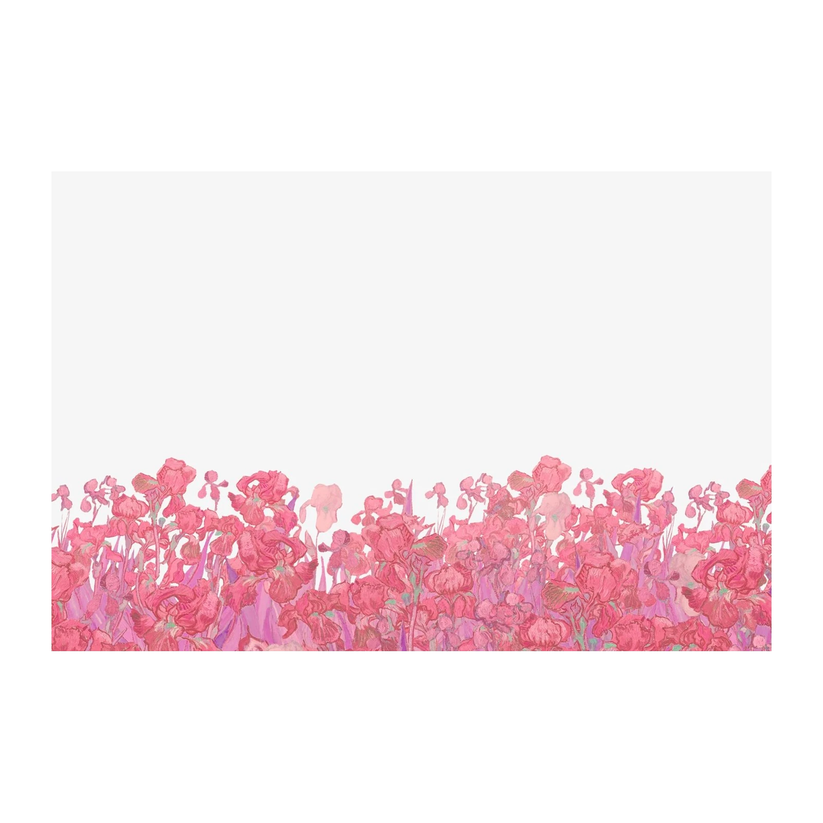 Vibrant Pink Iris Field Wall Art