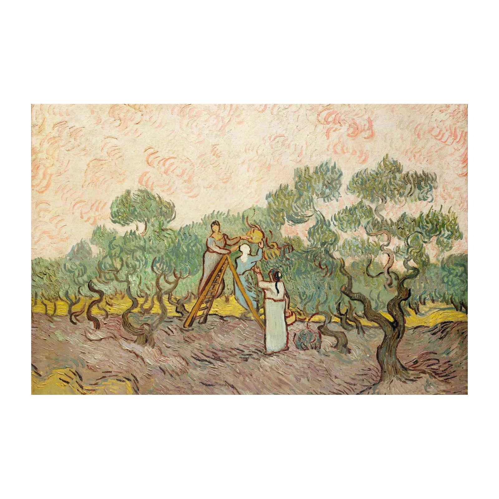 Van Gogh Olive Grove Harvest Wall Art